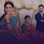 Paaru marathi serial song